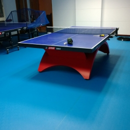上海海关乒乓球室施工完成
